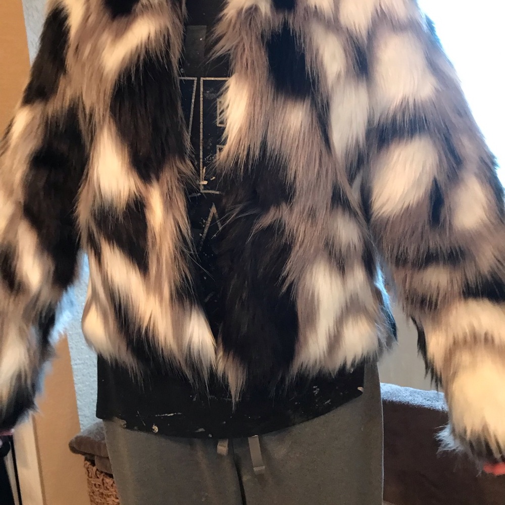 Jacket - Picture 2 of 3